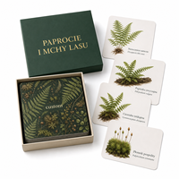 Cartes d'apprentissage personnalisées sur le thème de la forêt, de la fougère et du mousse, écologiques, durables, en papier couché 300 g/m², avec pelliculage mat, dans une boîte cadeau rigide pour les écoles