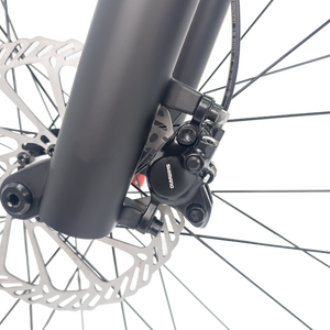 <span class=keywords><strong>Bicicleta</strong></span> de Montaña de Carbono con Frenos de Disco de Aceite, Manillar de Carbono Completamente Oculto, <span class=keywords><strong>Bicicleta</strong></span> MTB de <span class=keywords><strong>29</strong></span> <span class=keywords><strong>Pulgadas</strong></span>, Hardtail de Carbono Completo - Product Image 6