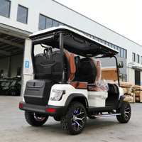 Carrito de Golf Eléctrico de 2/4/6 Plazas Directo de Fábrica |   Vehículo Eléctrico de Baja Velocidad para el Vecindario, Tipo Buggy de Golf, en Venta