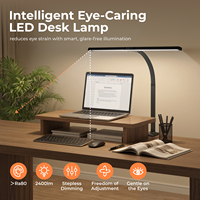 Lampe de bureau LED à pince, lumière de lecture pour la protection des yeux, pour la maison, le bureau et l'étude