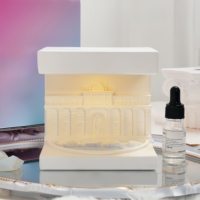 Diffuseur d'arômes décoratif en plâtre OEM/ODM, artisanat créatif, parfum de maison sans feu avec effet anti-moustiques aromathérapie