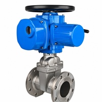 Vanne à opercule électrique multi-tours de haute qualité en acier inoxydable avec galet manuel pour le traitement de l'eau en pipeline