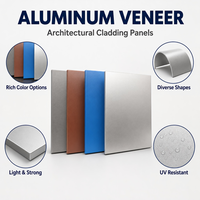 Revêtement en aluminium monopanneau pour l'ingénierie tout-en-un |   Rideau mural et décoration intérieure sur mesure anti-UV durables 20 ans