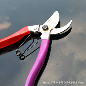 Cisailles de taille pour arbres fruitiers Mountain Wisteria, lame SK-5 de 30 mm, manche bicolore, pour la taille des arbres de jardin, 10-20 mm - Product Image 3