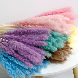 Herbe de la Pampa séchée de 60 cm pour la vente au détail, décoration artificielle en herbe de la Pampa - Product Image 1
