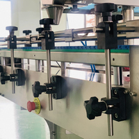 Machine de comptage et d'embouteillage entièrement automatique de haute précision et haute capacité pour la production de capsules, de pilules et de comprimés