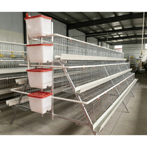 Cage à poules pondeuses de type A à 4/5 niveaux pour élevage avicole, avec système d'alimentation et d'abreuvement - Product Image 4