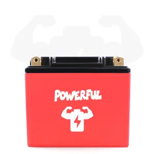 LFP9-BS Li-Ion Type 12 Voltage 1000CCA LiFePo4 Battery Pack For Touring motorcycle And Camper with restart function