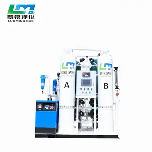 Hot selling PSA oxygen plant o2 gas generator professional supplier