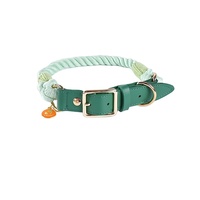 Collar de Cuero Trenzado para Perro, Acolchado, Ajustable, Lujoso, Elegante, Reciclado, para Perros Pequeños y Grandes, Correa para Pasear Mascotas, Accesorios para Exteriores