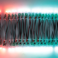 Luces LED de Cadena de Píxeles RGB Programables WS2811 de 12 mm, Píxeles LED Direccionables en Oferta
