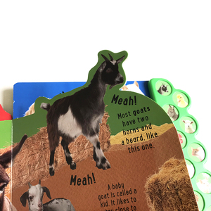 Giá Rẻ Tùy Chỉnh <span class=keywords><strong>Push</strong></span> <span class=keywords><strong>Button</strong></span> <span class=keywords><strong>Kids</strong></span> Âm Thanh Đồ Chơi Thông Minh Bảng Âm Thanh Cuốn Sách Trẻ Em - Product Image 5