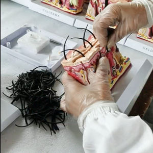 Science médicale modèle de peau anatomique modèle de structure de peau d'anatomie d'éducation élargie - Product Image 5