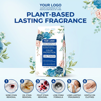 Lessive en poudre haute mousse OEM ODM Marque privée Vente en gros Fabricant en vrac Afrique Lavage à la main