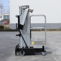 Ascenseur domestique compact pour la vente chaude, hauteur de levage de 6 m, capacité de charge de 300 kg, 2 étages, 3 personnes, ascenseur chinois