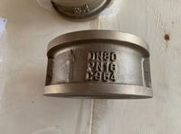 Válvula de Retención Tipo Wafer VEYRON con Cuerpo de Hierro Dúctil y Disco de Acero Inoxidable, Prevención de Reflujo, Normas BS/EN/DIN3202 API594, Modelo de Doble Retención
