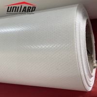 Tissus de membrane tendue en PVC Lona ignifuge M2 900gsm 1050gsm PVDF