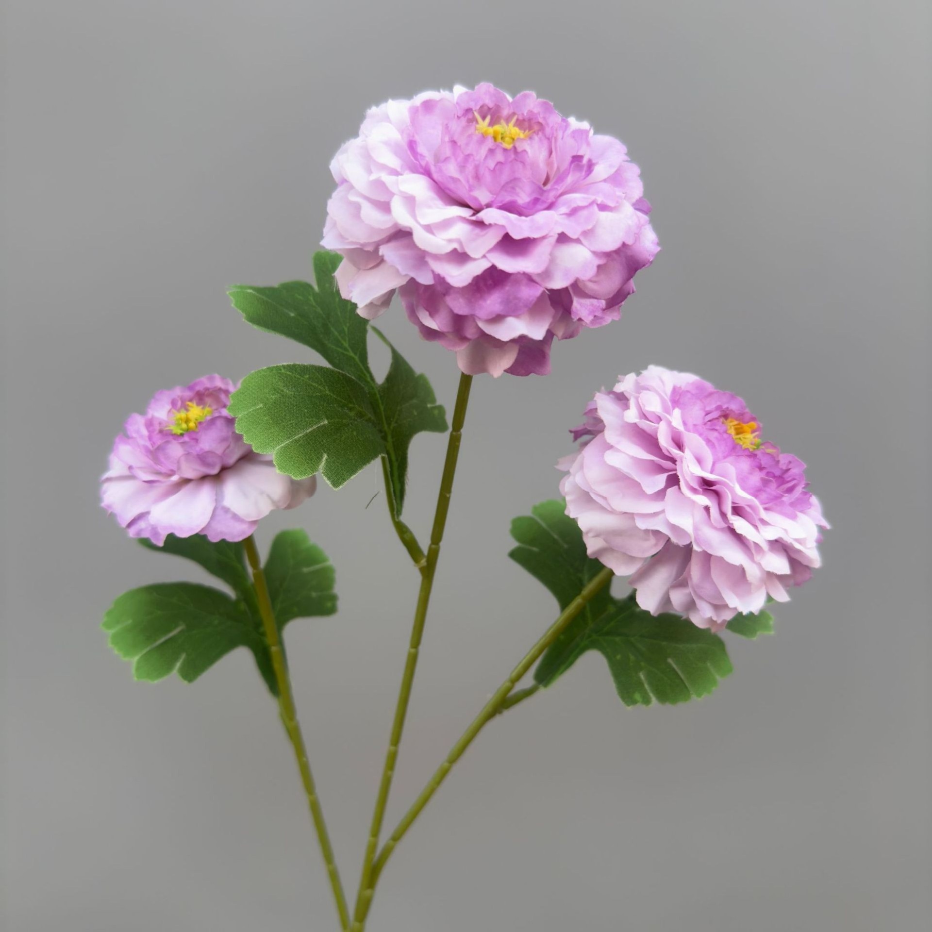 Carpe dragon-violet-69cm