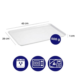 Bandeja para Instrumentos Médicos ORNAMIN Schuer-Tray 3XL-42x28cm, Esterilizable, de Plástico, para Clínicas, Laboratorios y Consultorios Dentales (Alemania) - Product Image 2
