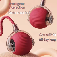 Jouet interactif rechargeable pour animaux de compagnie, balle roulante automatique avec corde pour chiens et chats, utilisation pour le divertissement