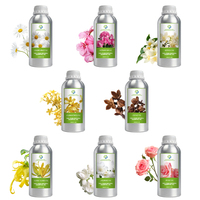 Huile Essentielle Végétale Biologique en Vrac 1 Litre pour Parfum et Fragrance, Extrait d'Huile Naturelle Pure à 100% Huile Essentielle de Clou de Girofle pour Soins de Santé