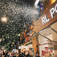Machine à neige de scène avec télécommande, machine à neige à effet spécial pour fête, mariage, DJ, KTV, décoration de Noël