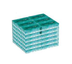 Pañuelos faciales 2 capas 100 hojas/caja, suave y duradero, cajas planas de pañuelos faciales para negocios, hogar, oficina, tienda, Viajes - Product Image 5