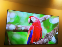 Meilleur utilisateur recommandé écran à cadre fixe anti-lumière 120 pouces PET Crystal écran de projecteur ultra courte portée 4k Ust