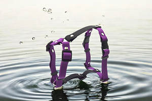 Arnés para Mascotas Elegante, Impermeable y Duradero para Perros y Gatos - Mantenga a su Mascota Segura - Product Image 2