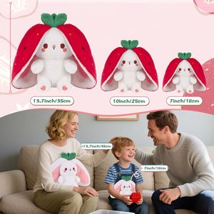 Peluche en stock, jouet en peluche doux, animal en peluche mignon, dessin animé, cadeau pour enfants, poupées en peluche, cadeau d'anniversaire, lapin carotte double face - Product Image 4