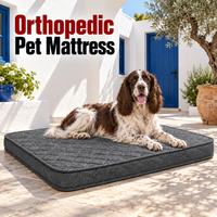 Éponge douce écologique, solide, moderne, rectangulaire, en chenille, multicolores, à haute résilience, pour chiens et chats, vente en gros