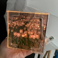 Nouvelle mini lampe de nuit artificielle en forme de cube, boîte à lumière infinie, bricolage, jardin de tulipes, lampe de nuit, lampes de table