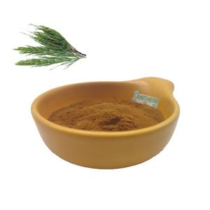 <span class=keywords><strong>100%</strong></span> atkuyruğu bitki özü tozu 10:1 su Solbule Equisetum Arvense atkuyruğu özü kozmetik için % 7% silikon alkolsüz - Product Image 1