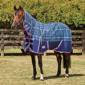 Cold Weather Horse Rug Lightweight Winter Stable Sheet with Standard Neck and 2 Secure Leg Straps Durable Breathable - Product Image 1