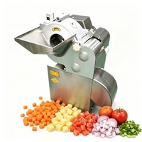 Hoge capaciteit commerciële roestvrijstalen automatische fruit- en groentesnijmachine, grote snijder voor lamsvlees, cassave, appels