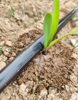 Hoog rendement waterbesparende platte druppelband
