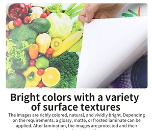 Papel Sintético Mate Adhesivo Impermeable de 160gPP, Tinta Eco-solvente para Pósteres, Material Fotográfico para Inyección de Tinta, Papel Publicitario - Product Image 4
