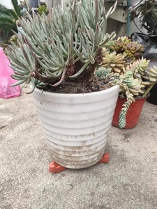 Pots de fleurs Étagères <span class=keywords><strong>sur</strong></span>élevées Ventilation Anti-accumulation d'eau Non étouffant Non pourri Tapis de <span class=keywords><strong>pied</strong></span> Combinaison mobile Plateaux en plastique - Product Image 3