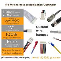 Harness Kabel Baterai Ebike Berinsulasi Silikon dengan Steker PVC untuk Solusi Daya dan Koneksi Perangkat Tambahan