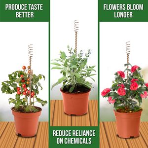 C118 Cultivo de jardín Crecimiento saludable y rápido Electrocultura larga Jardinería Bobina de cobre Antenas Electrocultura Estacas para plantas - Product Image 1