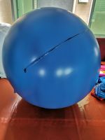 Grand costume gonflable rond de boule de myrtille de PVC de cosplay pour annoncer des gonflables