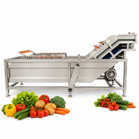 Bellenwasser voor Lychee, Longan, Passievrucht, Guave, Tropische Fruit Reinigingslijn