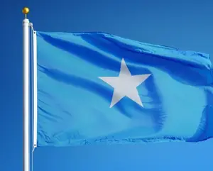 100% di vendita calda in poliestere 3 x5ft bandiera nazionale del Somaliland tessuto personalizzato bandiera dello stato Somalia