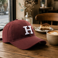Casquette de baseball personnalisée en coton sergé à visière incurvée, logo d'entreprise, logo brodé 3D sportif, logo imprimé, casquette snapback unisexe