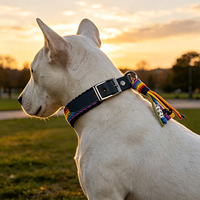 Collier pour chien en nylon tressé arc-en-ciel, personnalisé avec des perles de nom, doux, résistant à l'usure, collier tissé pour animaux de compagnie