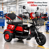Vélo électrique à 3 roues en gros d'usine, tricycle électrique pliable 48V en acier à haute teneur en carbone, 30 km/h, 3 places pour adultes