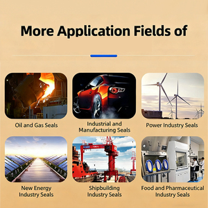 Quay phần cứng cao không khí Para thủy lực kompresora mùa xuân nén petroleo Đôi Con dấu cơ khí - Product Image 4