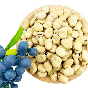 Factory Wholesale High Quality Dried Raw BROAD BEAN fava beans
