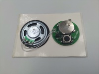 Carte de vœux électronique, module d'enregistrement sonore, puce d'enregistrement sonore, pour cadeaux d'anniversaire