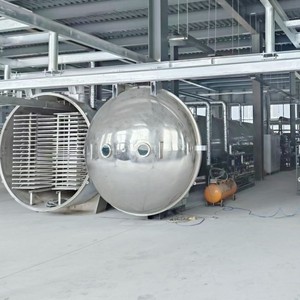 Equipo de Liofilización Industrial con Garantía de Un Año, Secador por Congelación al Vacío para Frutas y Verduras, Liofilizador Industrial - Product Image 5